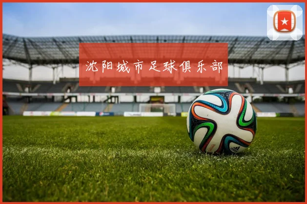 沈阳城市足球俱乐部