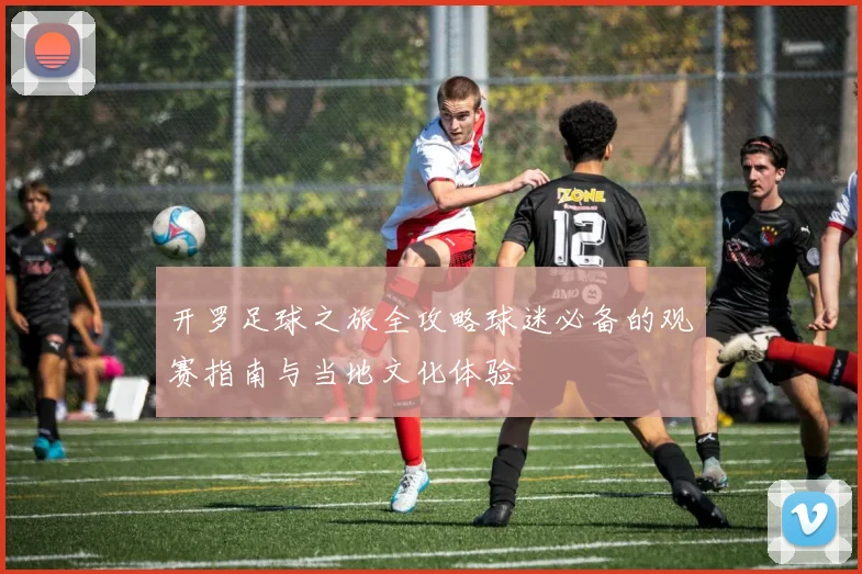 开罗足球之旅全攻略球迷必备的观赛指南与当地文化体验