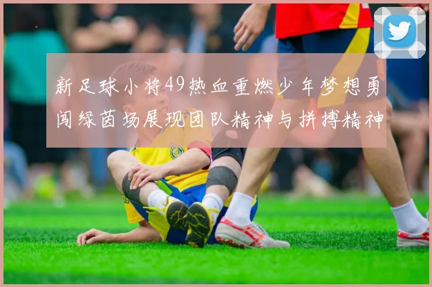 新足球小将49热血重燃少年梦想勇闯绿茵场展现团队精神与拼搏精神
