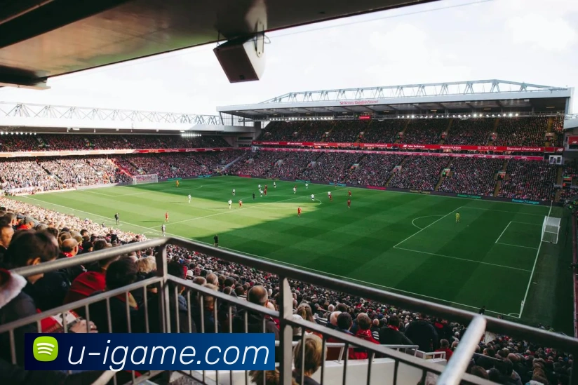 多媒体互动体验